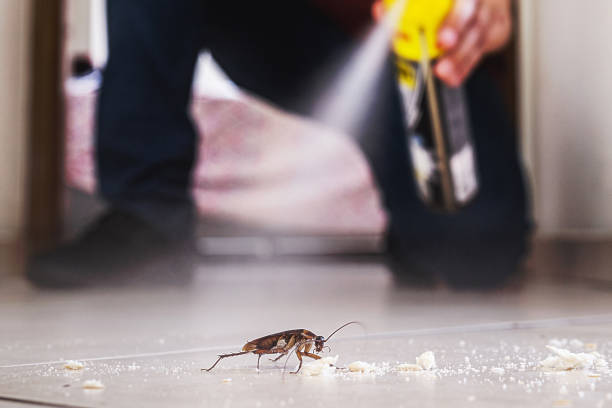 Reliable Hyde Park, UT Pest Control Solutions